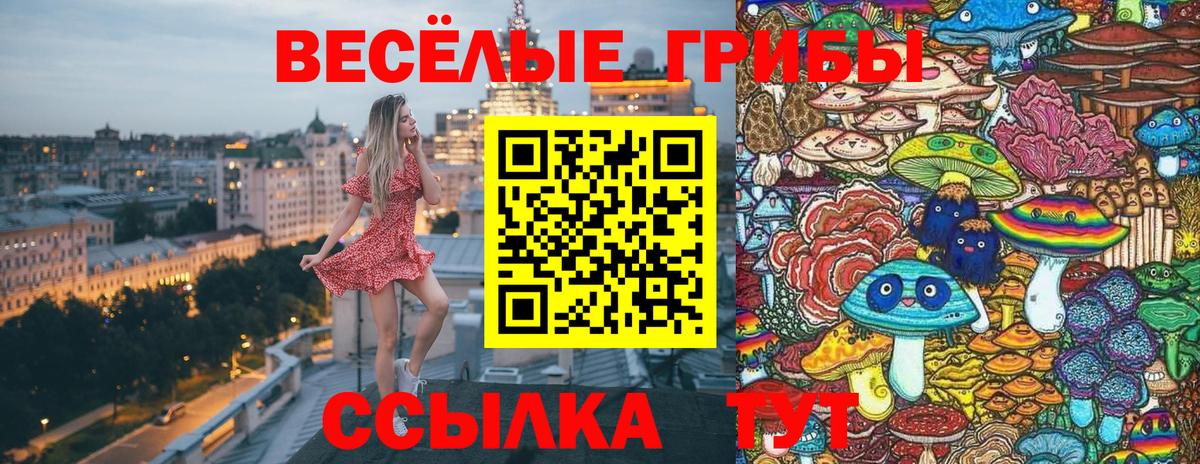 Галлюциногенные грибы Cubensis  Вход с VPN  купить  цена  Волжский 