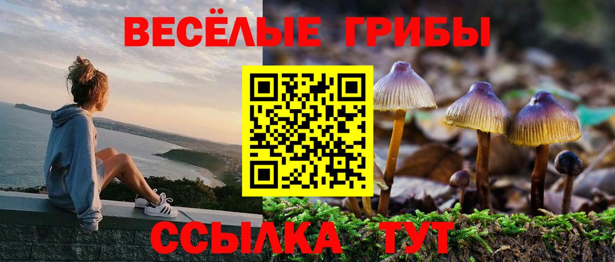 Псилоцибиновые грибы GOLDEN TEACHER Волжский